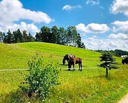 Eden Z Balia I Sauna * Szymbark (Pomerania)