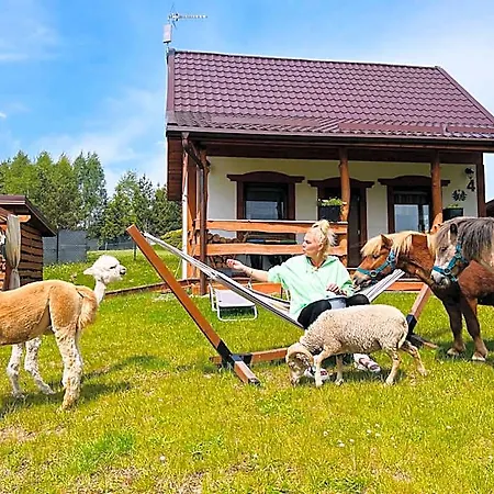 Eden Z Balia I Sauna * Szymbark (Pomerania)